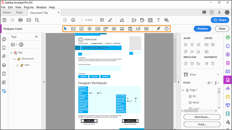 Fillable Forms in Adobe Acrobat