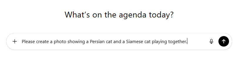 Input the Prompts Clearly