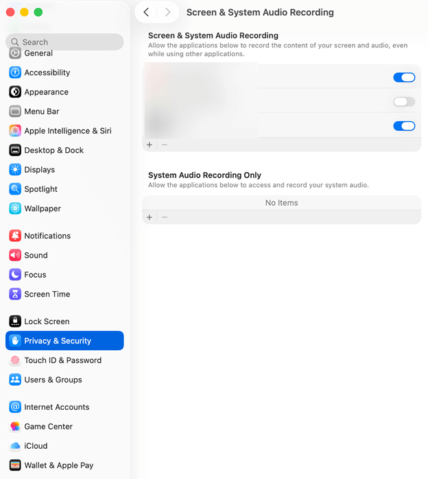 Enable the Screen Recording