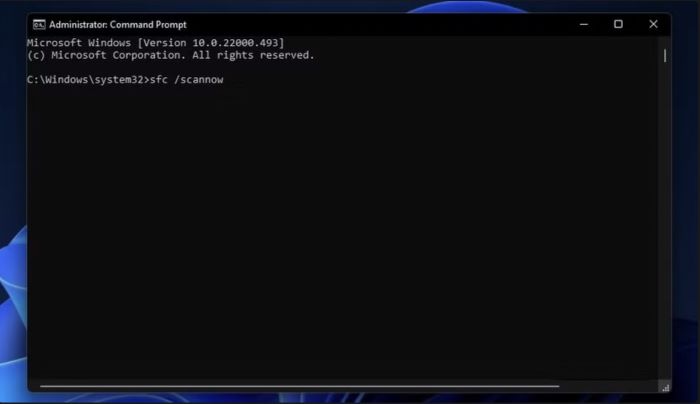 CMD