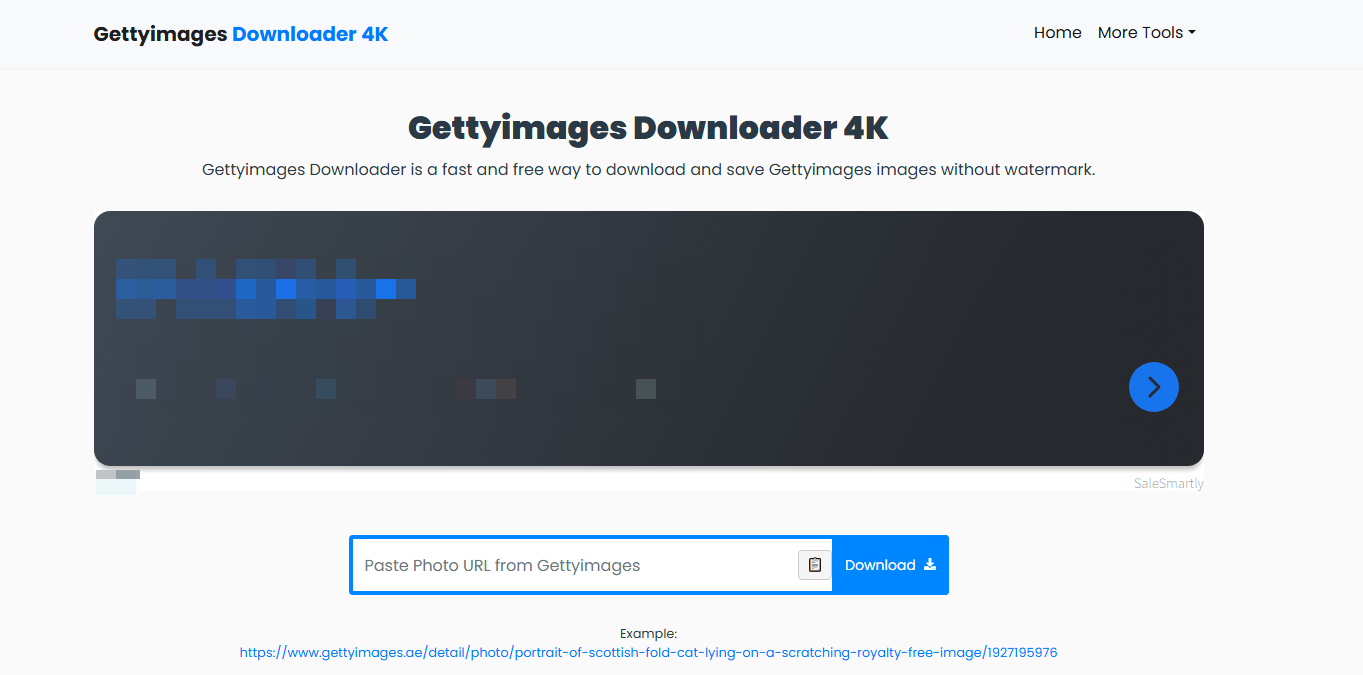 Fetchpik GettyImages Downloader