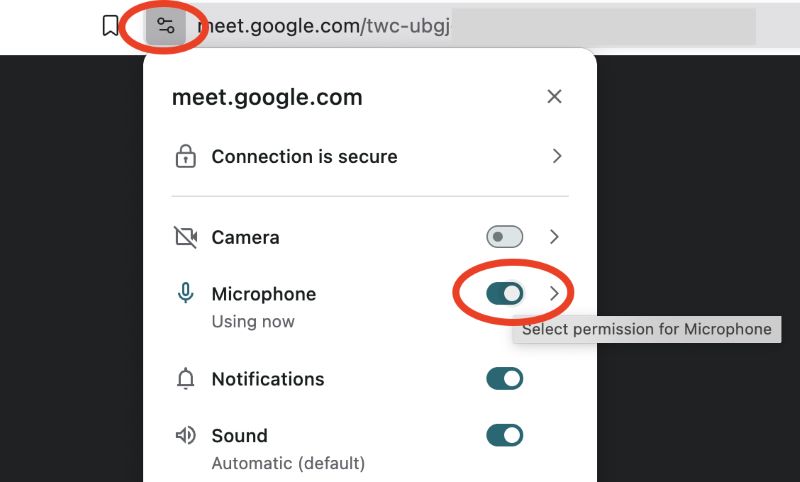 Check the Microphone Settings