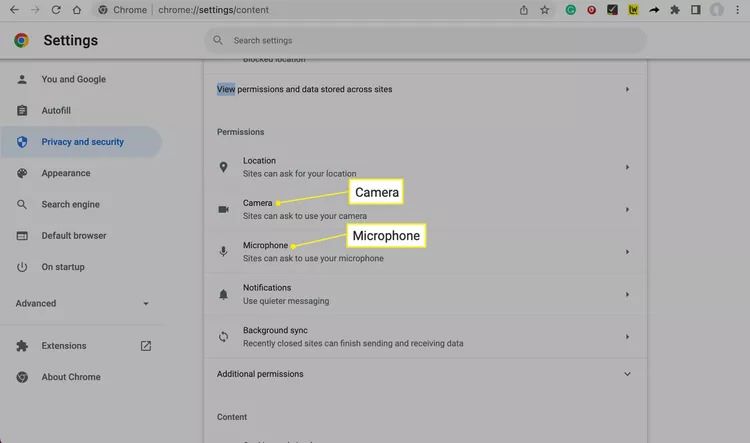 Check Microphone Permission