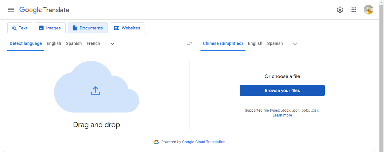 Google Translate Document Page