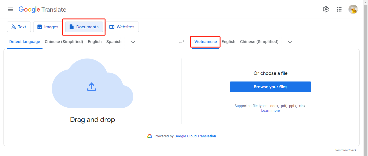 Google Translate PDF to Vietnamese Online