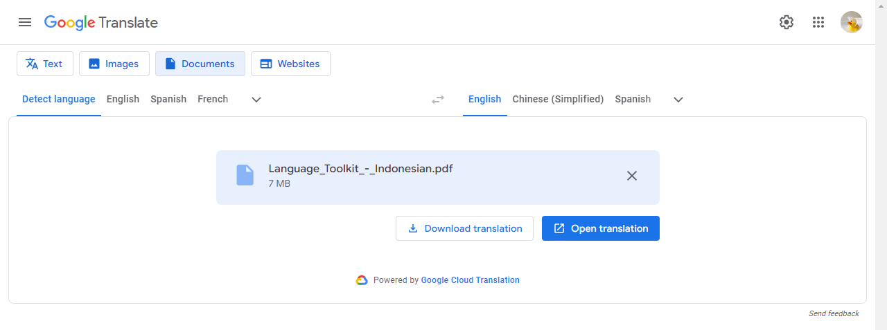 Google Translate Result Page