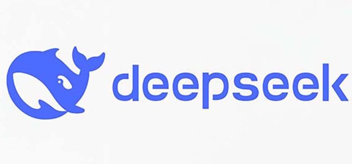 DeepSeek