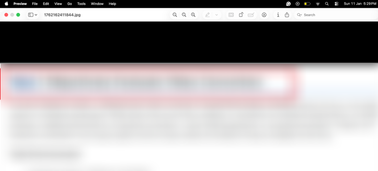 Interface of Preview