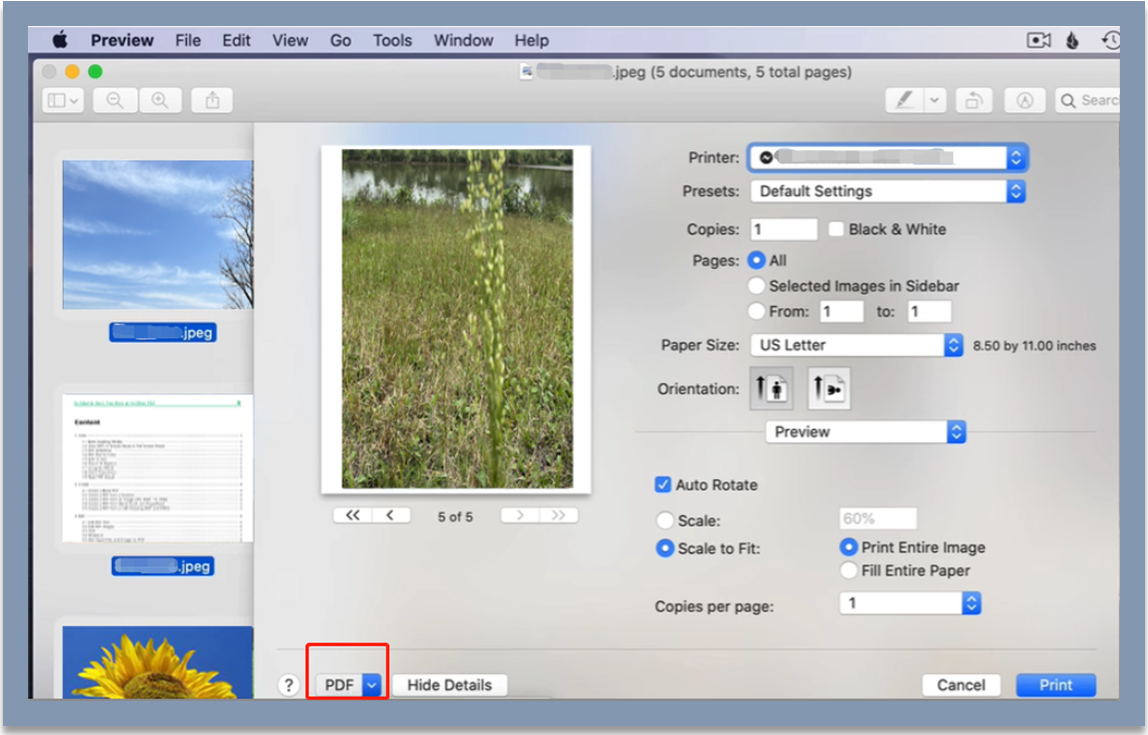 HEIC to PDF converter Preview
