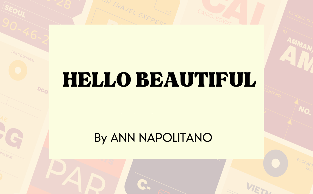 hello-beautiful-ann-napolitano
