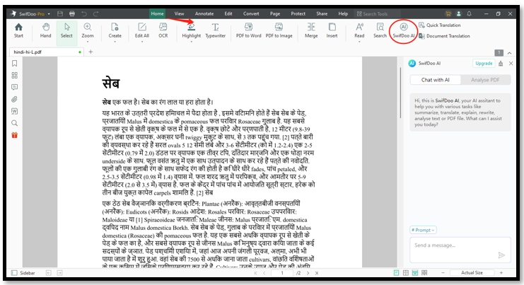 Convert Hindi to Marathi PDF on SwifDoo AI