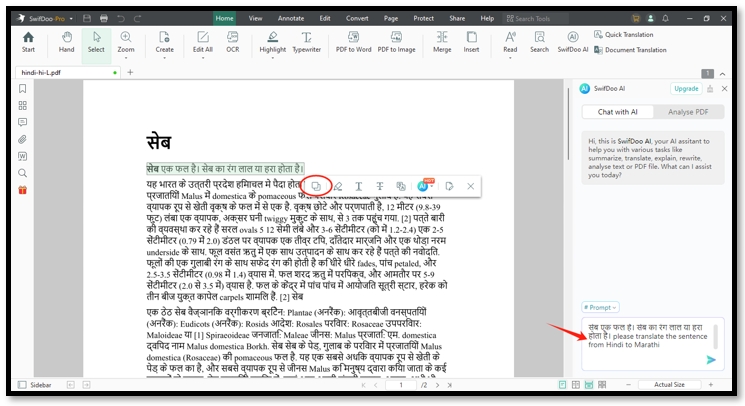 Convert Hindi to Marathi PDF on SwifDoo AI