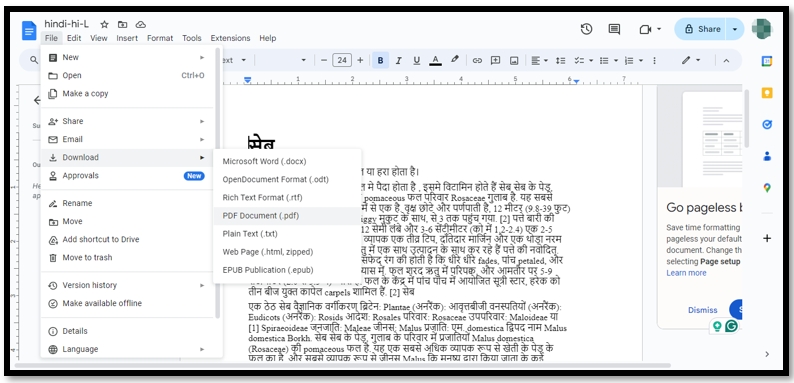Word to PDF converter for Hindi font - SwifDoo PDF