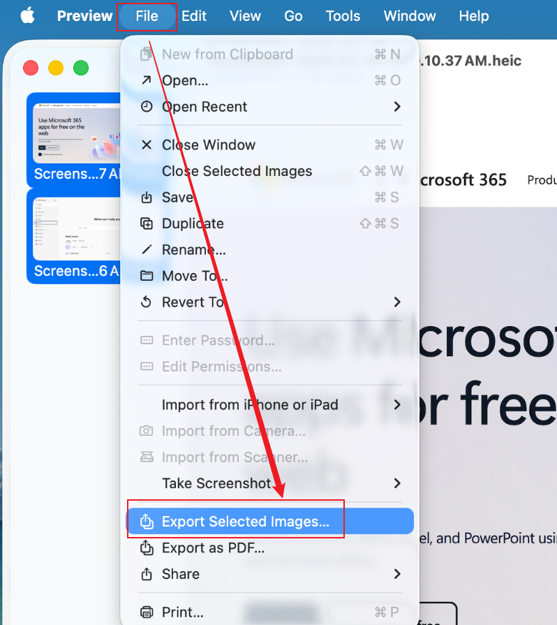 Click File and select the Export Selected Images option in Preview