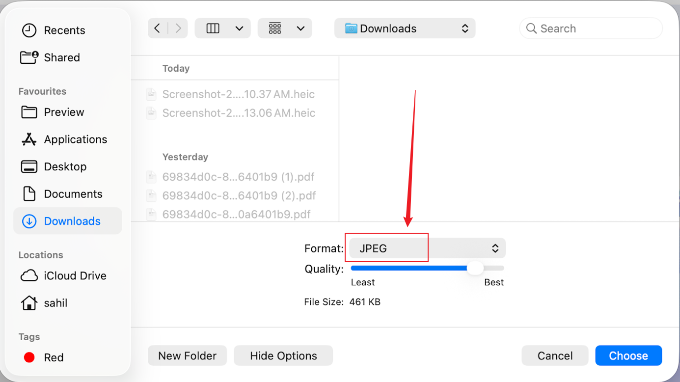 Open the Format list and select JPEG in Preview