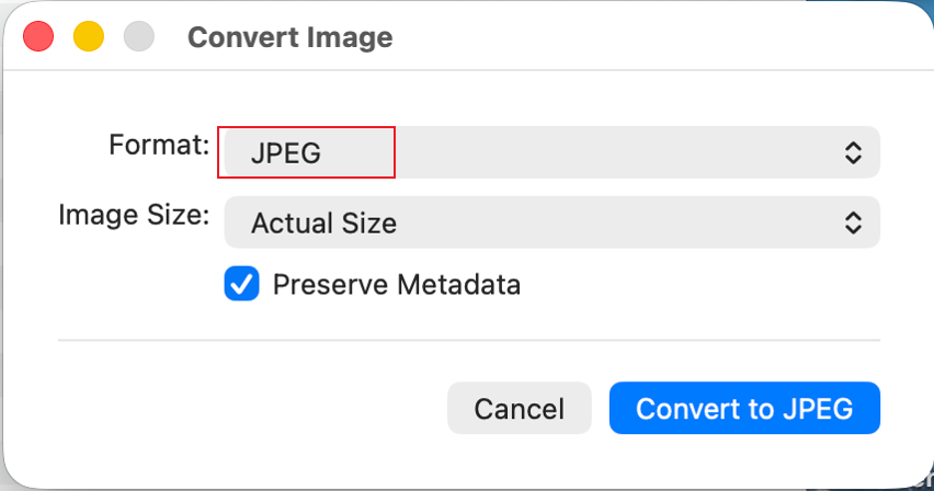 Select the JPEG option from the Format list