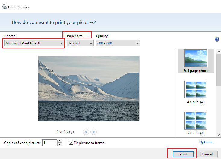 Select the Microsoft Print to PDF option as the Printer and click Print on Windows