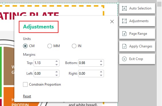 SwifDoo PDF Adjustments Option