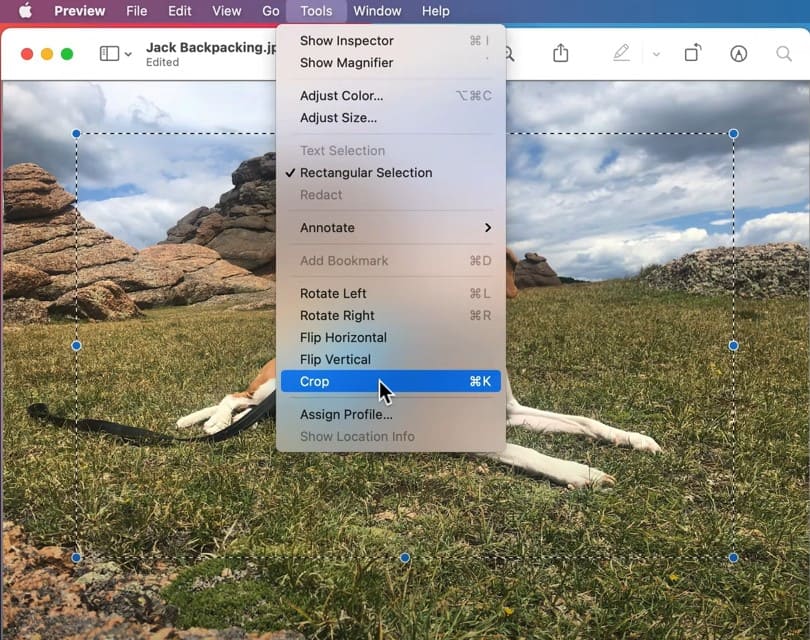 How to Crop Screenshot on Mac with Built-in Apps