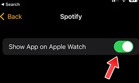 How to download songs on Spotify on Apple Watch 1