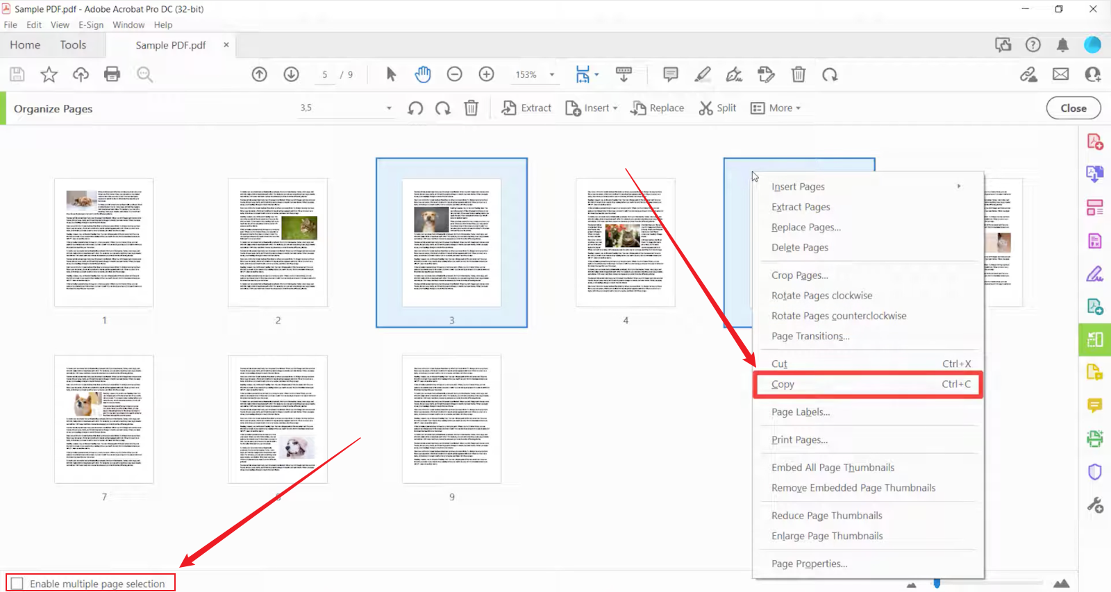 Right-click on the target page and click the Copy option in Adobe Acrobat