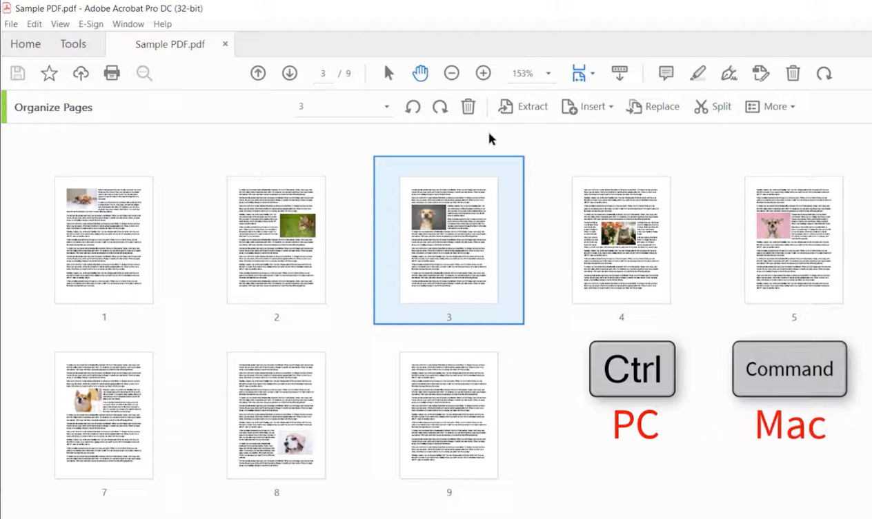 Press Ctrl/Cmd + C to copy the target PDF page in Adobe Acrobat