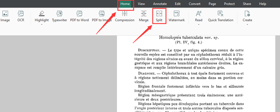 How to make a PDF smaller by splitting