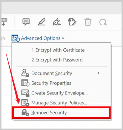 Click Remove Security in Adobe Acrobat Pro