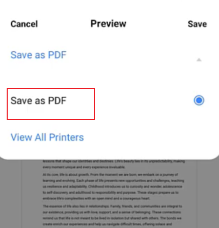 Select the Save as PDF option