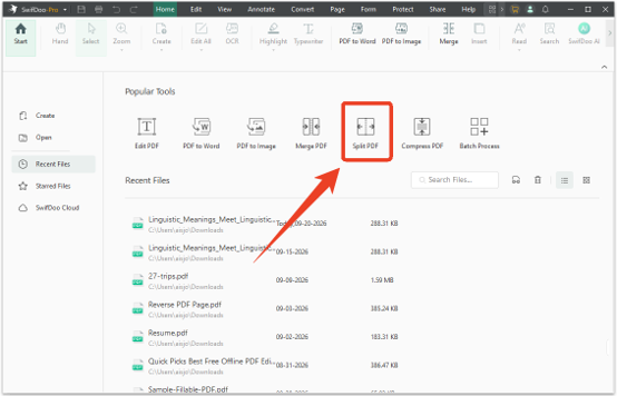 swifdoo pdf plitter