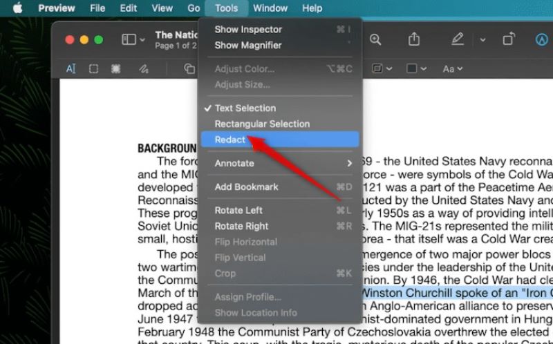 Redact a PDF on Mac in Preview