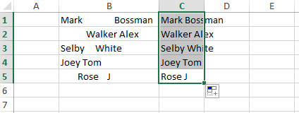 Remove Spaces in Excel Before Text with Formula TRIM 2