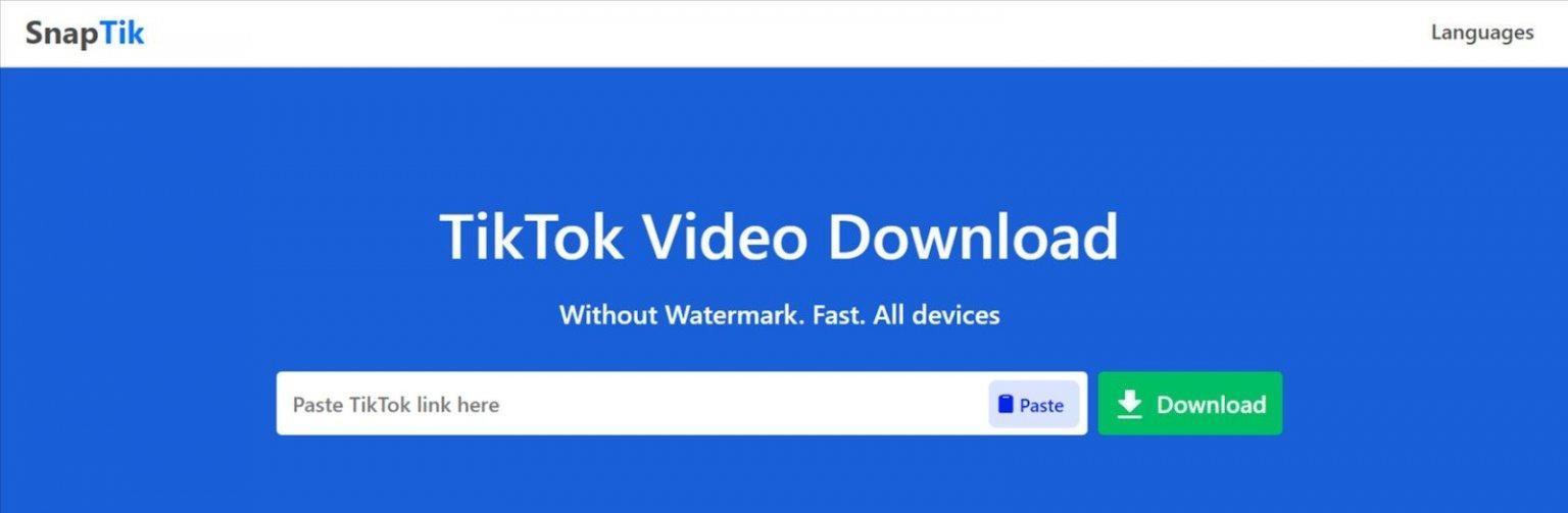 How to remove TikTok watermark with SnapTik