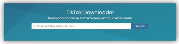 How to save TikTok videos using SaveTT.cc