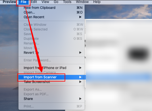 Click File and select the Import from Scanner option in Preview