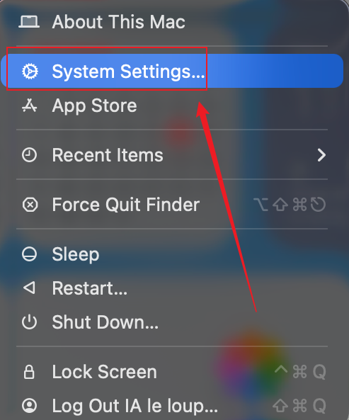 Click System Settings on your Mac