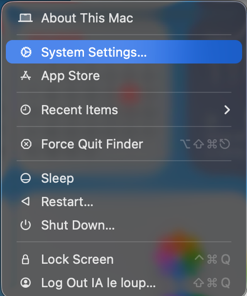Click the System Settings on Mac