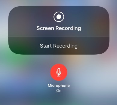 How to Screen Record on iPad with Sound