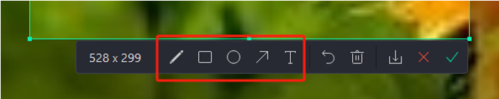 How to Screenshot Netflix with AWZ Screen Recorder 3