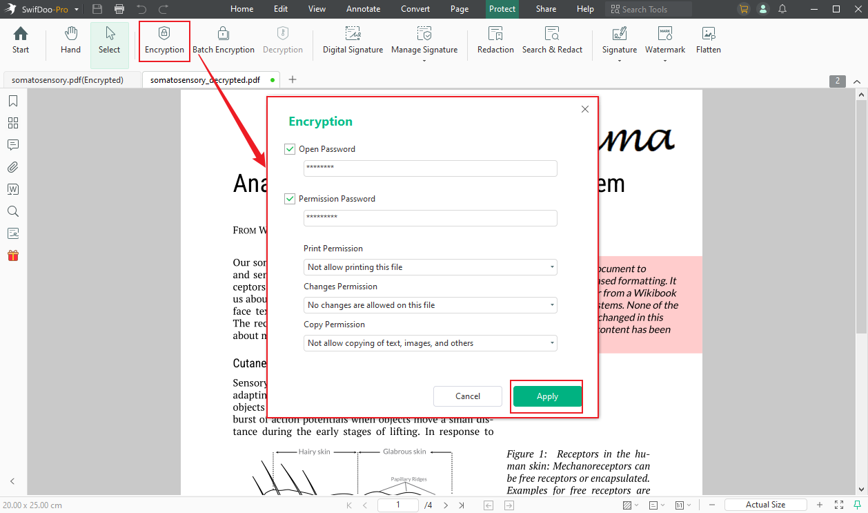 Click the Encryption option to password protect the signed PDF in SwifDoo PDF