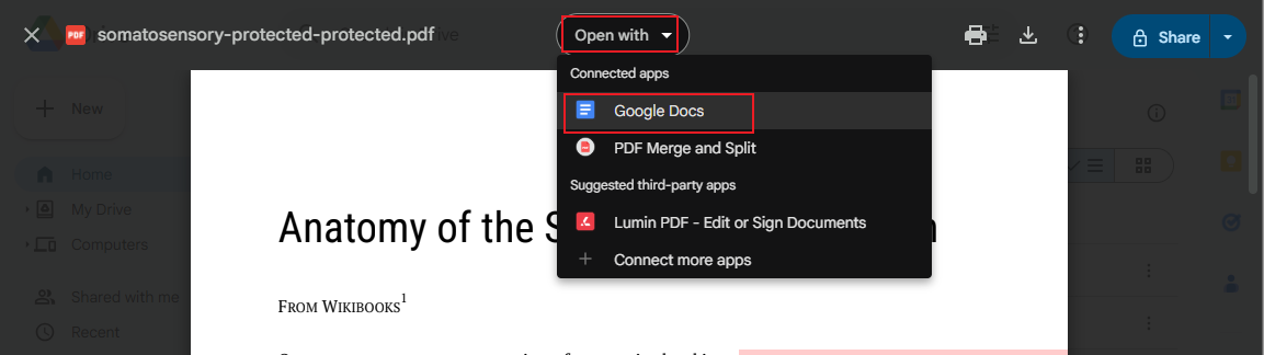Choose to open the secured PDF with Google Docs