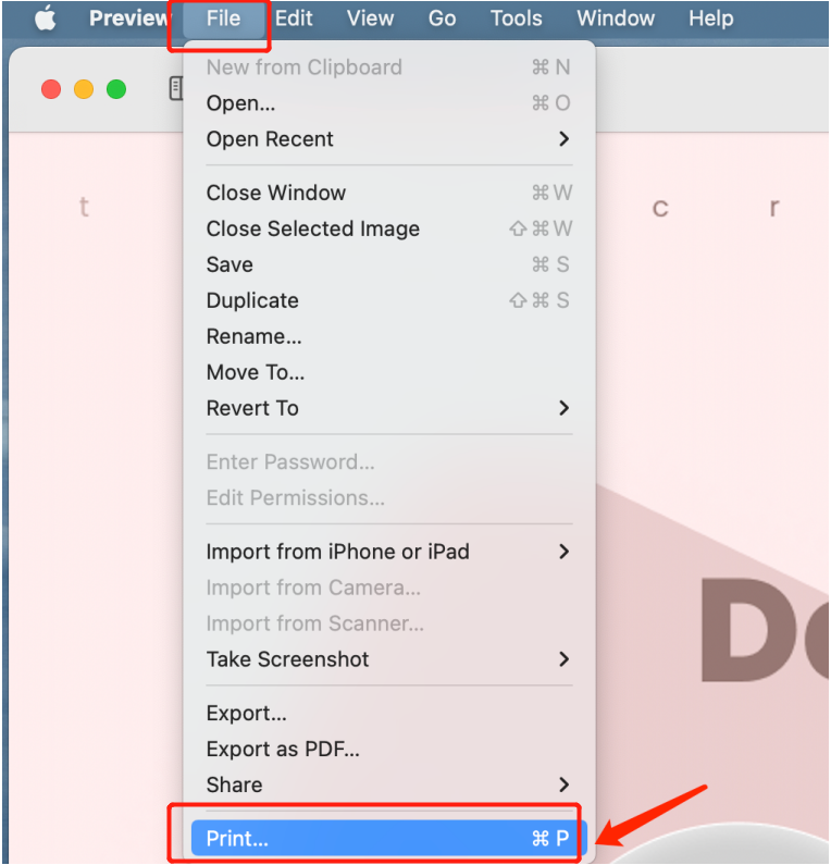 How to Turn a Picture into a PDF on Desktop and Mobile