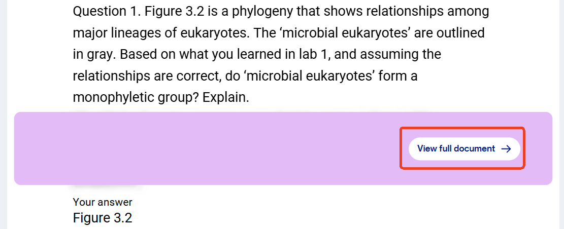 click the View Full Document button