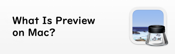 What Is Preview on Mac?