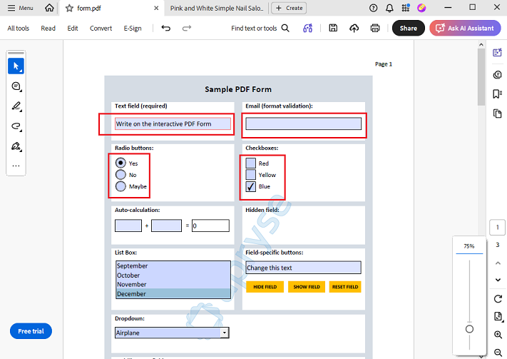 Write on the fillable PDF in Adobe Acrobat Reader