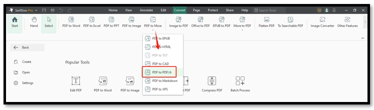Increase PDF size to 300KB by converting PDF to PDF/A