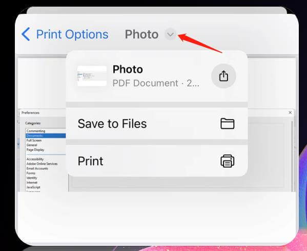 Tippen Sie auf den Dropdown-Pfeil neben Foto und wählen Sie, ob dieses PDF bei Bedarf über Apps oder in einem lokalen Ordner geteilt werden soll.