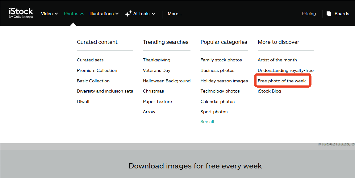 Free photo of the week