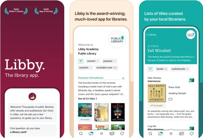 Libby EPUB Reader for iPhone