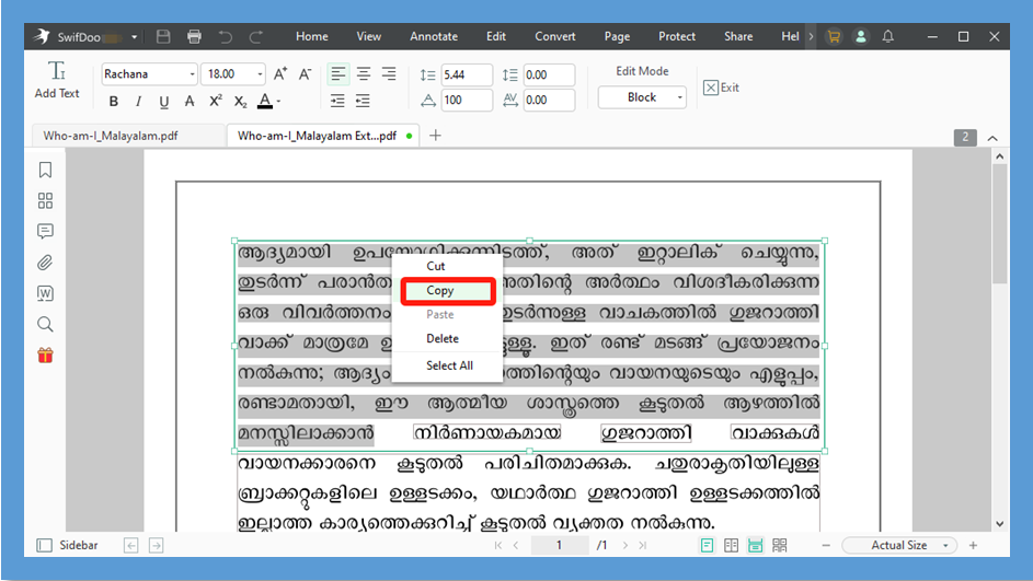 Malayalam PDF to Word offline with SwifDoo PDF 4